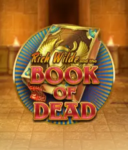 Enter the thrilling world of Book of Dead by Play'n GO, featuring vivid graphics of Rich Wilde’s adventurous journey through ancient Egyptian tombs and artifacts. Find lost riches with captivating mechanics like free spins, expanding symbols, and a gamble option. Ideal for those seeking adventure with a desire for exciting finds.